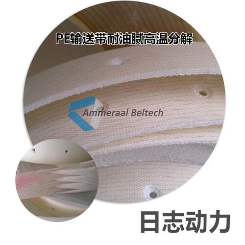 PE ESM 10/2 0+02 SO AS Transp.2.1MM FG PE输送带 食品级输送带