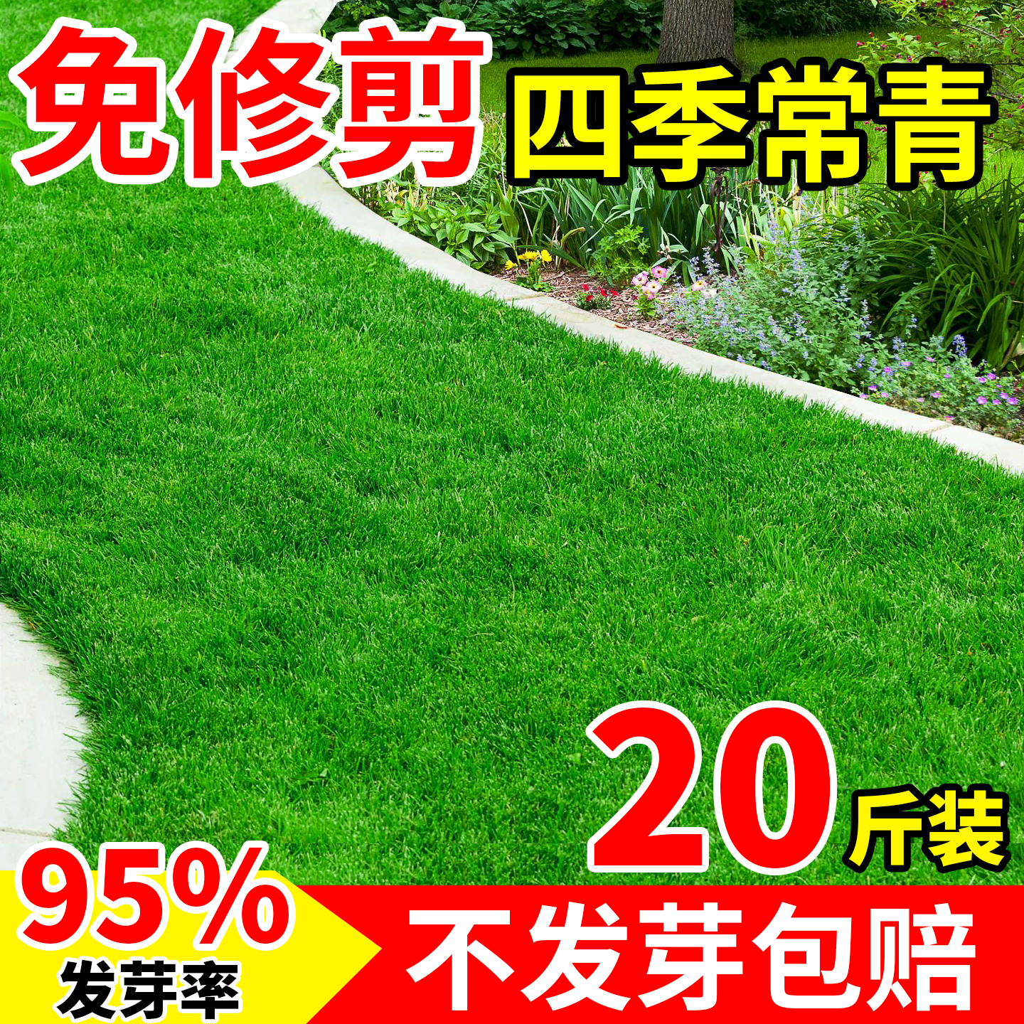 草坪草籽矮生免修剪四季常青护坡固土草种子狗牙根黑麦草边坡绿化