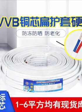 重胜纯铜BVVB明装护套线扁电线11.52.546双芯家用硬线铜芯导线