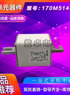 170M5246 170M5247 170M5248 170M5249 170M5250巴斯曼快速熔断器