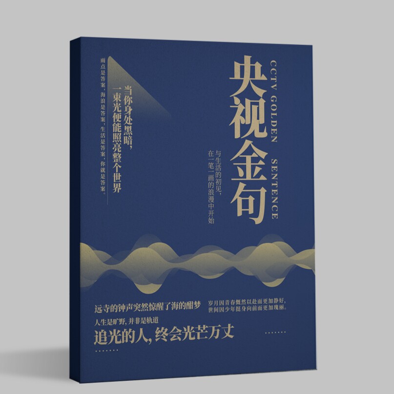 2026年央文案视人民日报金句练字帖/练字板