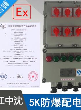 BXMD58-5防爆照明动力配电箱XDMB58-5防爆配电箱1进5出浙江中沈