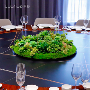 酒店圆桌多肉仿真餐桌中间转盘摆高端茶室假摆设