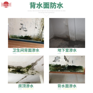 墙面返碱处理抗碱封闭剂反碱星返潮发霉修补碱除碱剂消碱一号