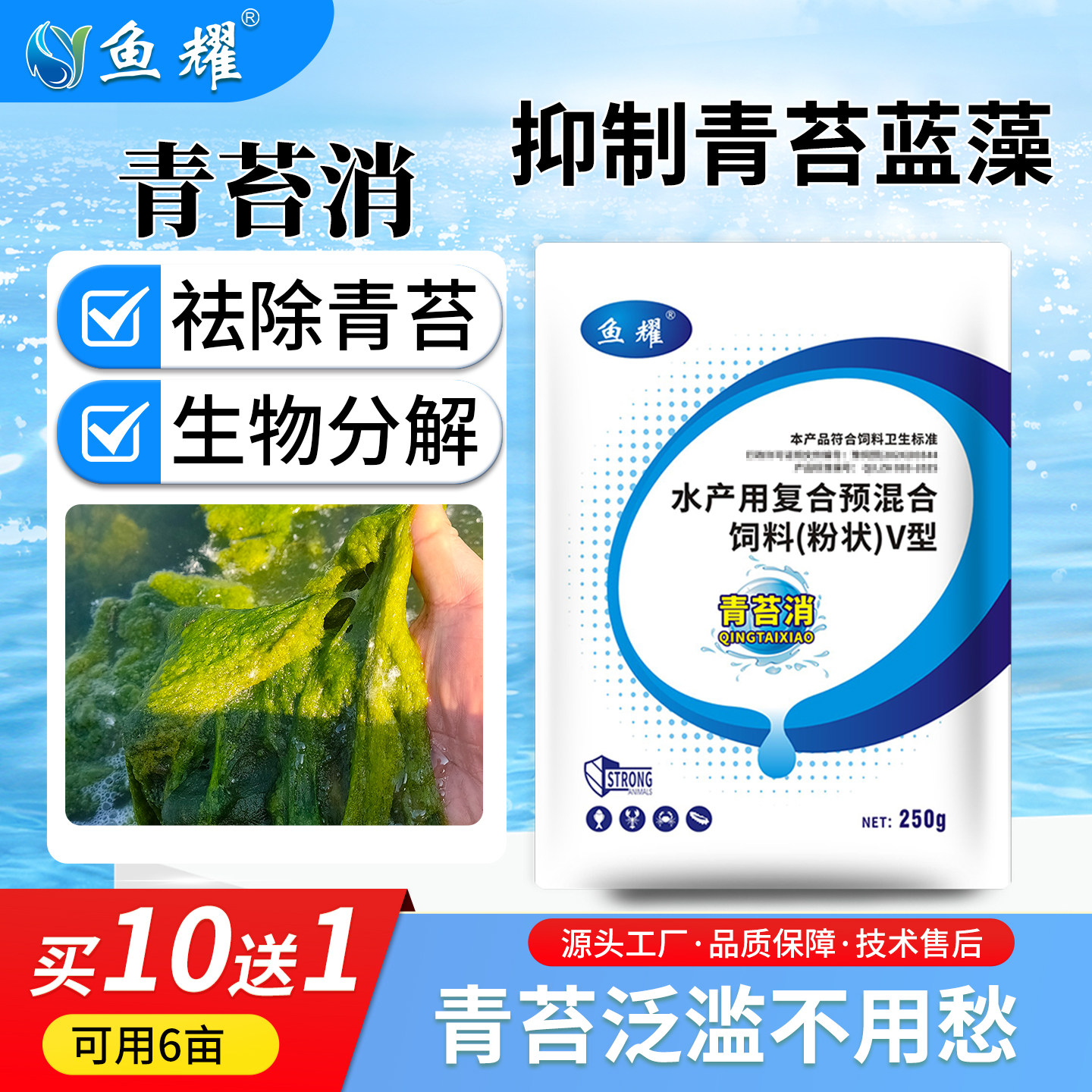 青苔净水产养殖除青苔水绿藻不伤鱼虾蟹保护水草净化水质青苔消