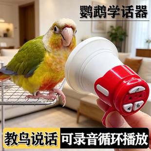鹦鹉学说话神器解闷学习机小太阳八哥专用训练复读小鸟玩具用品
