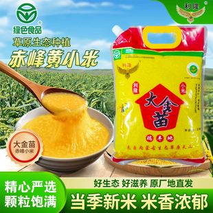利隆大金苗小米5斤内蒙古黄小米新米颗粒饱满米油丰厚营养好吃
