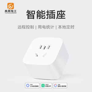 定时语音控制定时开关计电量