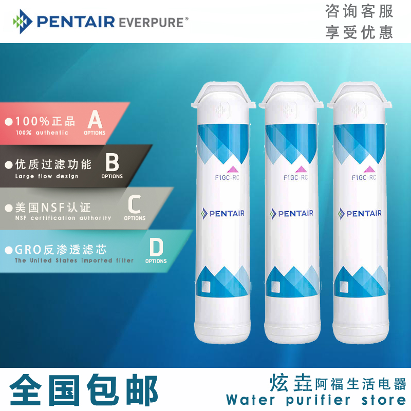 滨特尔U3000/F230/GRO-350B/375B/450/475反渗透纯水机活性炭滤芯