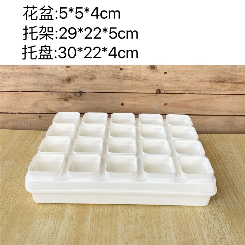 5cm口径 多肉植物花盆透明托盘组合盖闷养保湿配S托盘叶扦插育苗