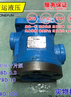 液压泵总成小型YBD-32/6.3/10/16液压油泵齿轮泵液压泵配件油压泵