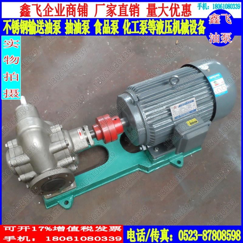 KCB-200齿轮泵300润滑泵 输油泵 化工泵 电机组 不锈钢齿轮泵