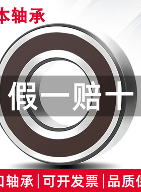 日本适用于NSK进口微型轴承B6-63ZZ 6*16*5 R-1660Z内径6mm外径16