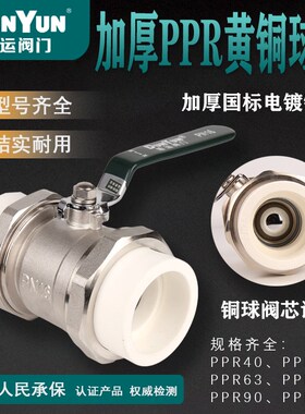 盾运PPR双活接全铜加厚电镀DN40DN50DN63DN75DN90DN11O大流量阀门
