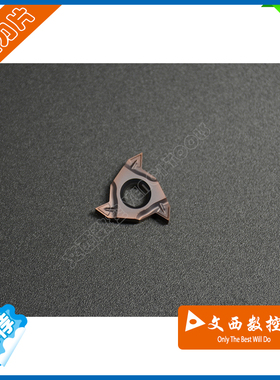 株洲钻石 外螺纹刀片 RT16.01W-AG60PB YBG205不锈钢 特惠