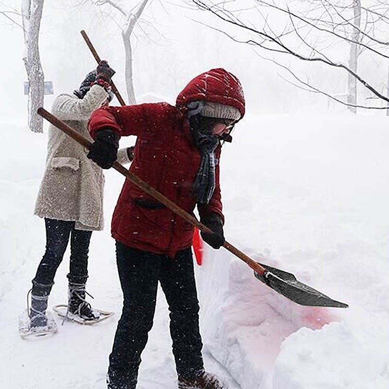 开拓加厚雪铲车用户外塑料锹屯粮铲清除雪积锨推雪板饲料铲子工具,标准件/零部件/工业耗材,输送带/传送带,淘宝优惠券,粉丝福利购,淘宝优惠卷