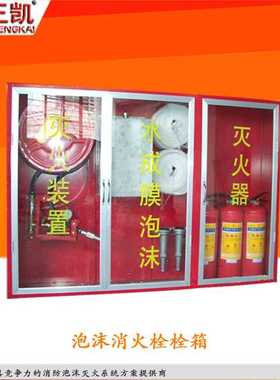 PSG30水成膜消火栓箱泡沫箱高速隧道专用水成膜泡沫消火栓箱