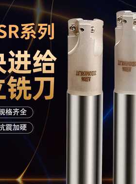 ASR06 16 20 25立铣刀杆EPNW0603N8铣刀杆R2抗震优质快进给立铣刀