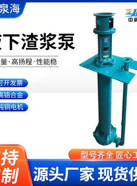 定制液下渣浆泵 大流量耐磨矿用泥浆泵河底清淤泥专用立式抽沙泵