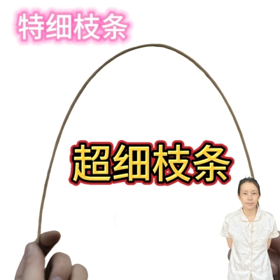 超细教鞭戒尺家用竹鞭竹条藤条三件套细软鞭子楠竹枝条细枝条