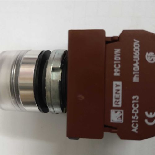 R9C10VN 台湾雷力reny 22mm金属平头带灯按钮1常开 LED灯泡 RAPIF