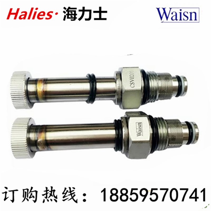 台湾崴盛WAISN电动止回阀CSV0801 DC24V AC220V升降阀CSV-02-01