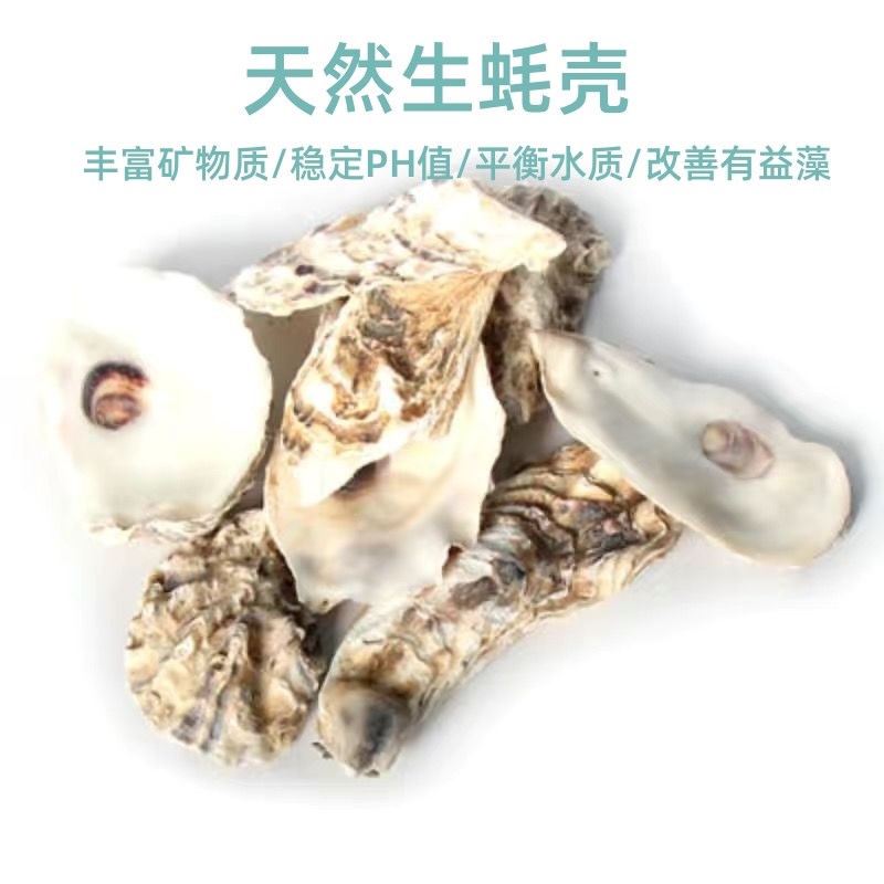 天然生蚝壳锦鲤鱼池鱼缸滤材稳定PH值增加钙质水质过滤材料牡蛎壳