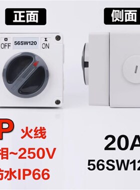 澳标防水开关56SW110/320隔离户外1P2P3P4P5P 10A20A32A40A50A63A