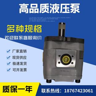 齿轮泵 NACHI日本不二越油泵 IPH