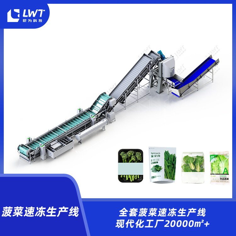 菠菜速冻设备 产地货源全自动菠菜清洗设备净菜加工设备非标定制