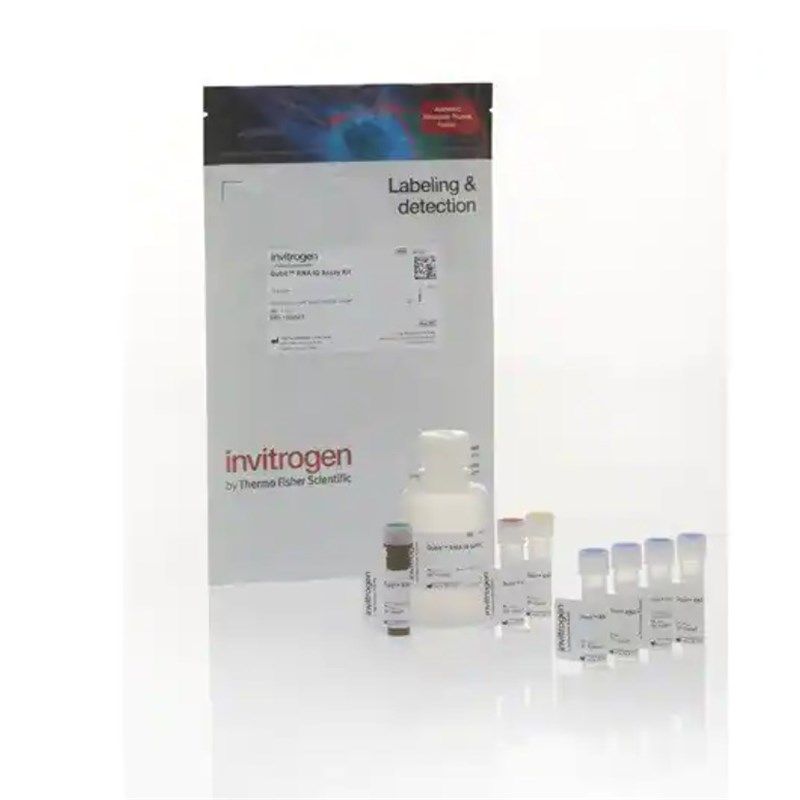 赛默飞 Invitrogen Qubit 4 系统验证检测试剂盒 Q33237