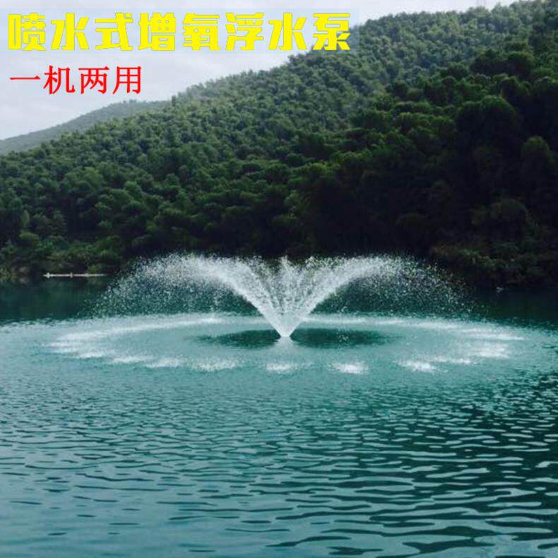 鱼池加氧器市场增氧机河塘户外蒸养机鱼塘池塘潜水自动充氧泵喷头