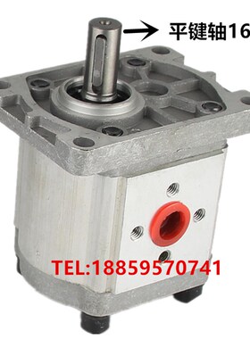 齿轮油泵 20MPa CBN-F304 CBN-F306 CBN-F310剪板机拖拉机升降台