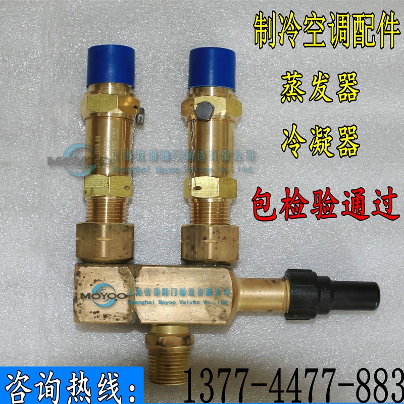 制冷剂安全阀SFA-22C300T14 CSA-22C300T冷冻机安全阀 DN15 20 25