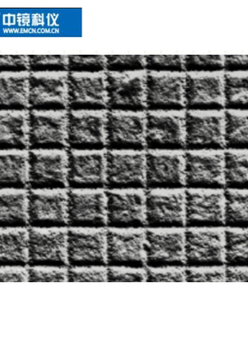 Tedpella 投射电镜网状格栅标样