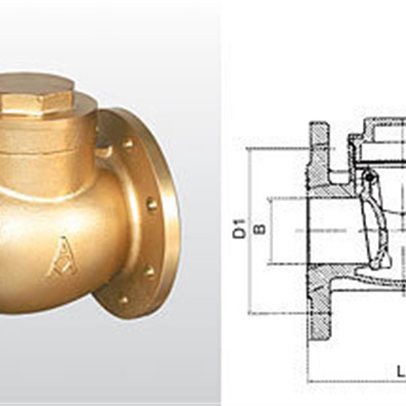 正品埃美柯409黄铜蒸汽阀耐高温法兰止回阀单向阀DN50(2寸专卖店
