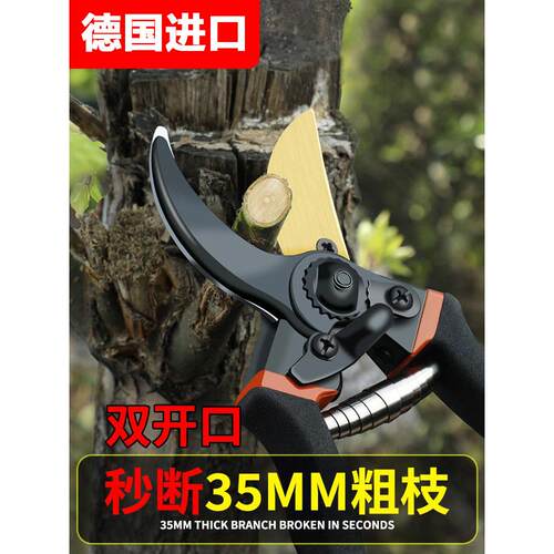 剪树枝专用剪刀园林果树省力修枝剪sk5园艺修花粗枝剪子