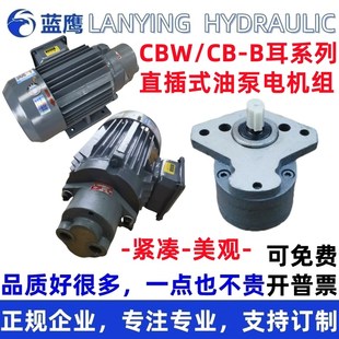 B63 16R B16 B32 B40 B25 B20 D带耳朵齿轮油LRB HYCB B50 CBW