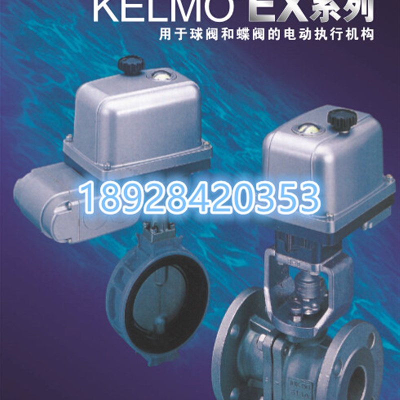 EXH200-125FCTB进口日本北泽电动铸铁法兰球阀 进口蒸汽电动球阀