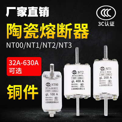 低压熔断器NT00/NT1/NT2熔芯陶瓷保险丝63A100A125A RT36-00 RT16