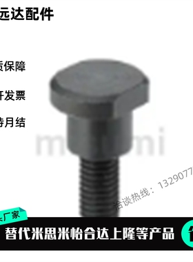 不锈钢支点用台阶螺丝FCBDW/CBDW4/5/6支点用台阶螺丝两平面
