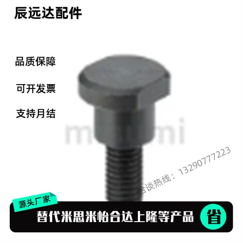 不锈钢支点用台阶螺丝FCBDW/CBDW4/5/6支点用台阶螺丝两平面
