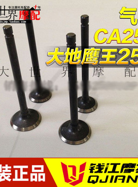 原厂摩托车大地鹰王DD250EDD250G/嘉陵JH250 CBT125 CA250气门