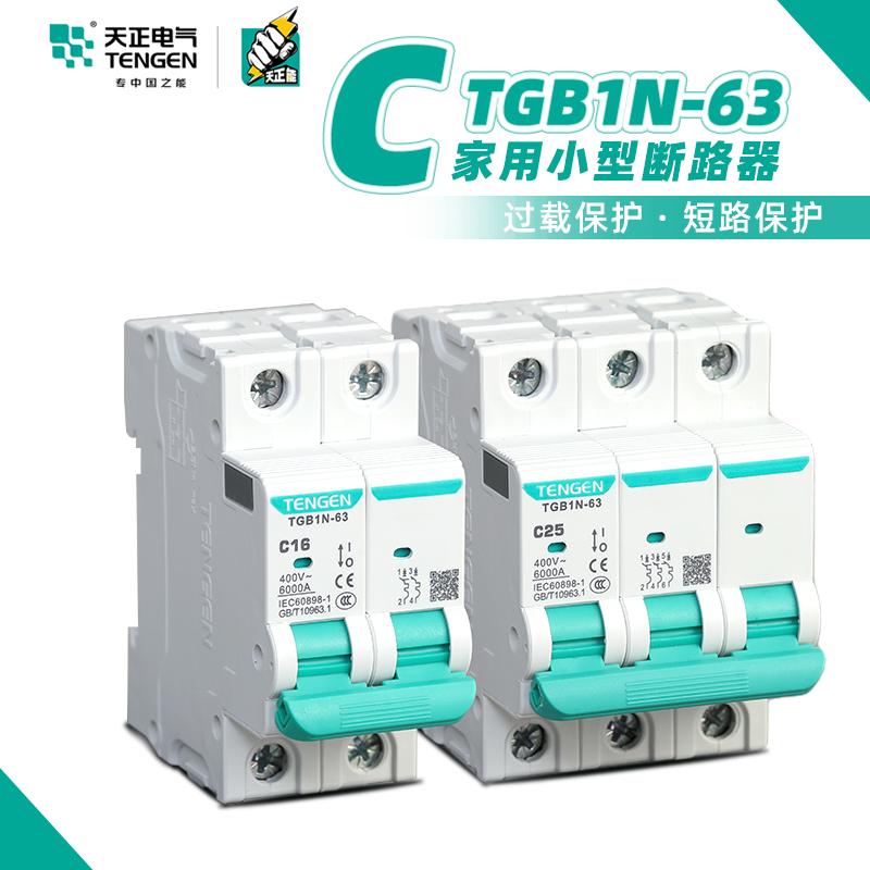 天正空气开关TGB1N-63A2P小型32A家用3P电闸保护器4P空开关断路器