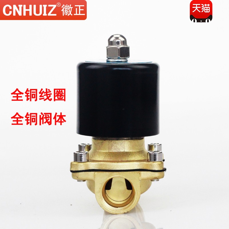 徽正2W-160-15全铜电磁阀DN15进水阀气阀4分耐高温阀门G1/2220V