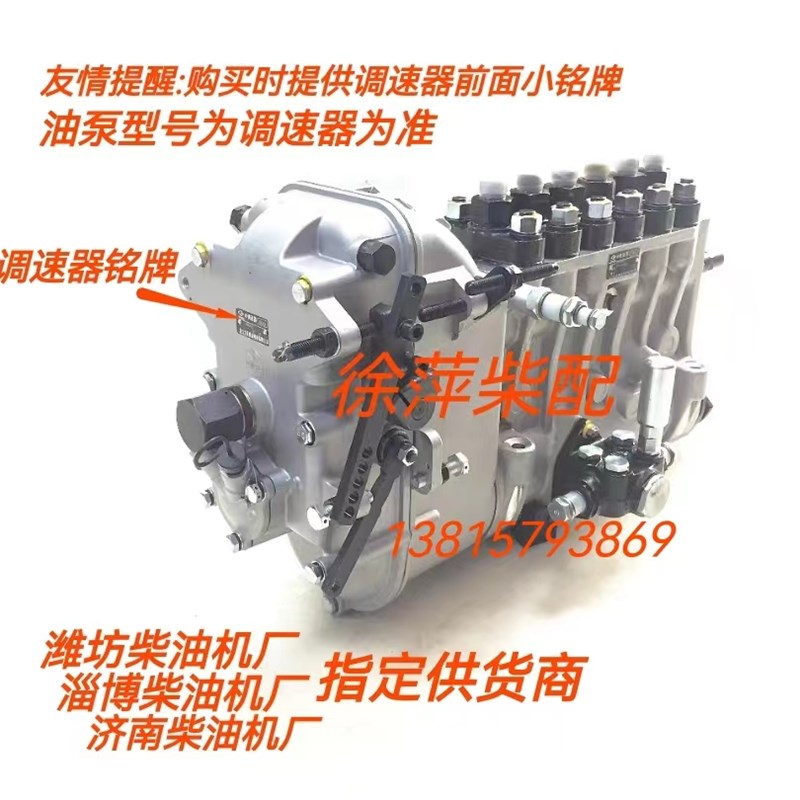 淄柴6170柴油机高压油泵Z6170柴油泵BHT6P9泵龙口龙泵燃油公司