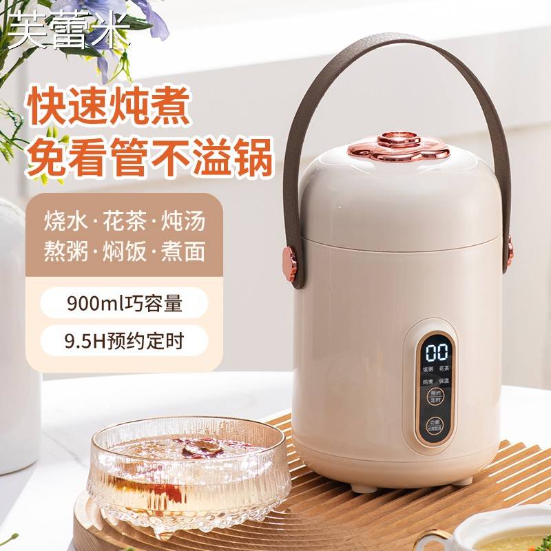 芙蕾米电炖锅小型多功能小炖锅电煮锅煲汤煮面煮粥神器家用上班族电炖盅床笠拉车