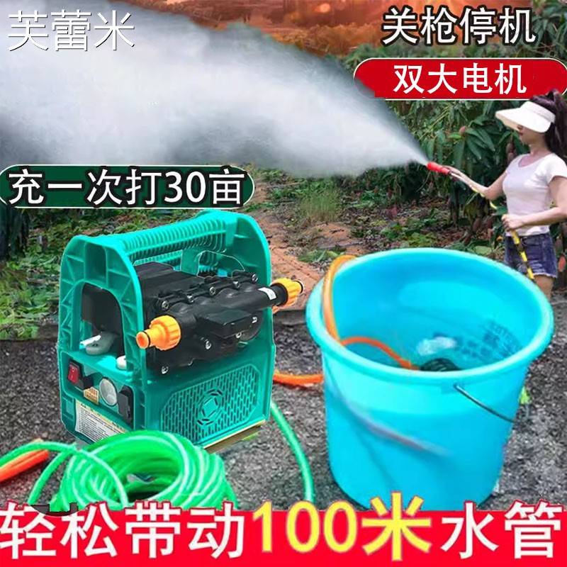 芙蕾米农用电动喷雾器手提充电果树喷药机抽水洗车机高压消毒浇花抽水泵床笠拉车