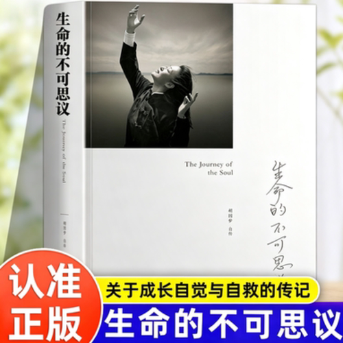生命的不可思议：胡因梦自传