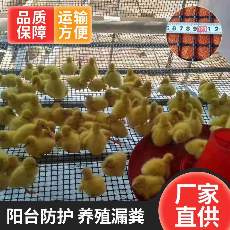 塑料圈玉米网单双向塑料土工格栅养鸡养鸭养殖网圈地鱼塘果园围网,基础建材,木格栅,淘宝优惠券,粉丝福利购,淘宝优惠卷